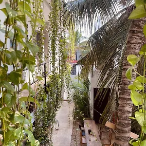  Mini-hôtel Anana Coliving Mexique
